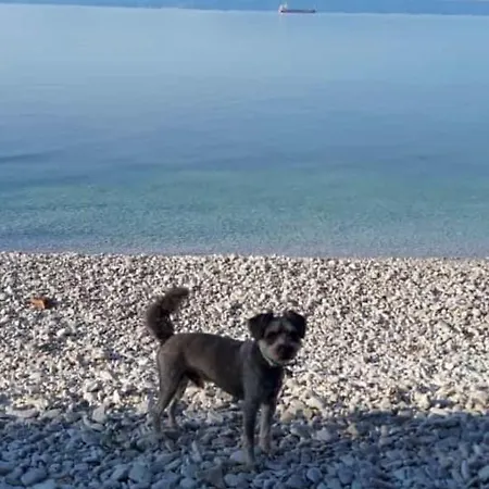 Zen - Okrug, Heated Pool, Ev Type 2 شقة تروغير